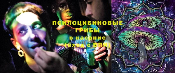 PSILOCYBIN Навашино