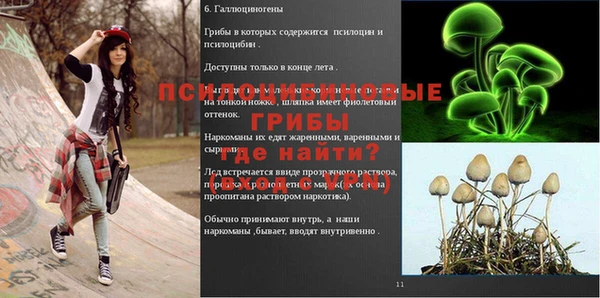 герыч Абаза